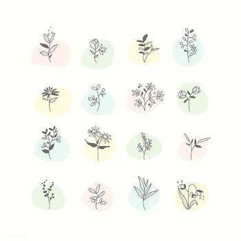 Set of hand drawn botanical elements vector | Free stock vector - 523398