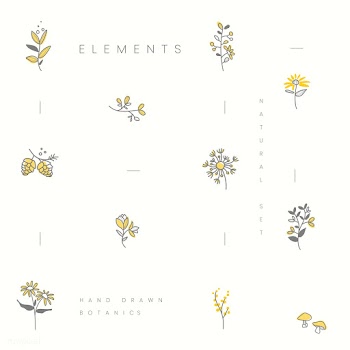 Set of hand drawn botanical elements vector | Free stock vector - 523402