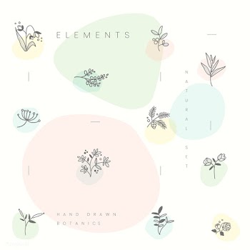 Set of hand drawn botanical elements vector | Free stock vector - 523405