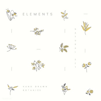 Set of hand drawn botanical elements vector | Free stock vector - 523408