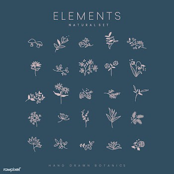 Set of hand drawn botanical elements vector | Free stock vector - 523411