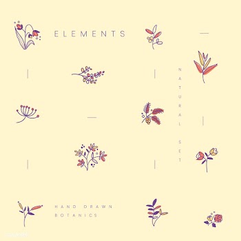 Set of hand drawn botanical elements vector | Free stock vector - 523422