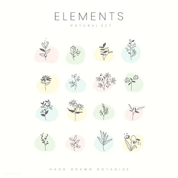 Set of hand drawn botanical elements vector | Free stock vector - 523427