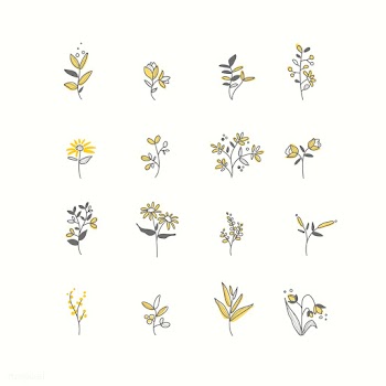 Set of hand drawn botanical elements vector | Free stock vector - 523431