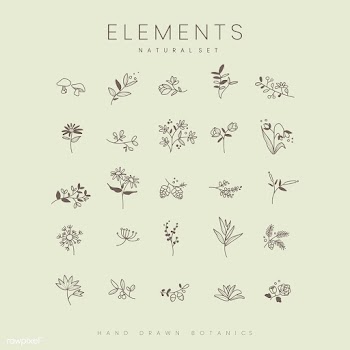 Set of hand drawn botanical elements vector | Free stock vector - 523444