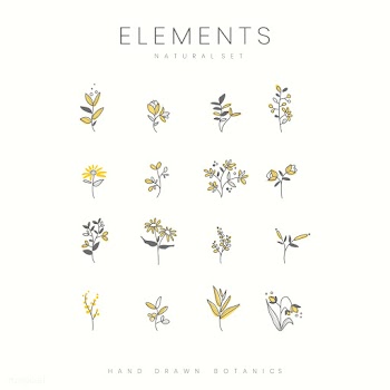 Set of hand drawn botanical elements vector | Free stock vector - 523449