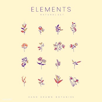 Set of hand drawn botanical elements vector | Free stock vector - 523450
