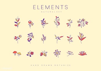 Set of hand drawn botanical elements vector | Free stock vector - 523484