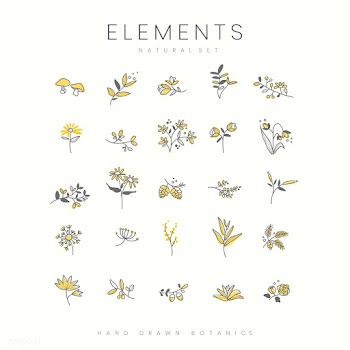 Set of hand drawn botanical elements vector | Free stock vector - 523485
