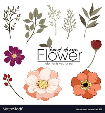 set of hand drawn flower and leave