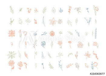 Set of hand drawn flowers and leaves
