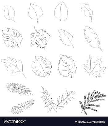 set of hand-drawn leaves doodles icons