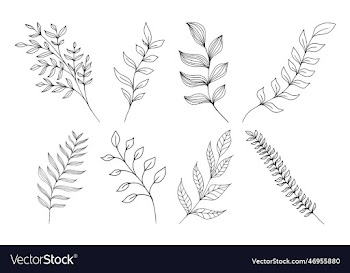 set of hand drawn stems with leaves