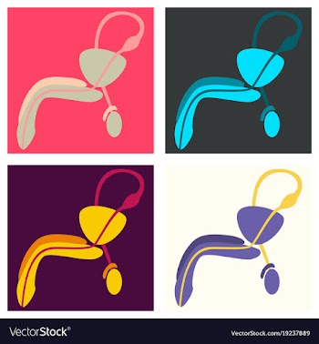 Set of human organ icon in flat style male vector image