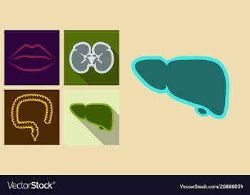 Set of icons in flat design on medecine theme vector image