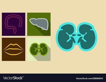 Set of icons in flat design on medecine theme vector image