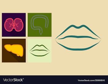 Set of icons in flat design on medecine theme vector image