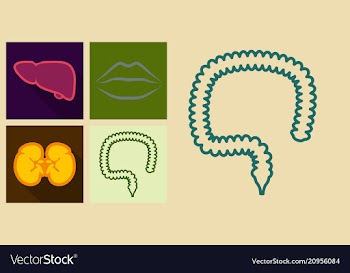 Set of icons in flat design on medecine theme vector image