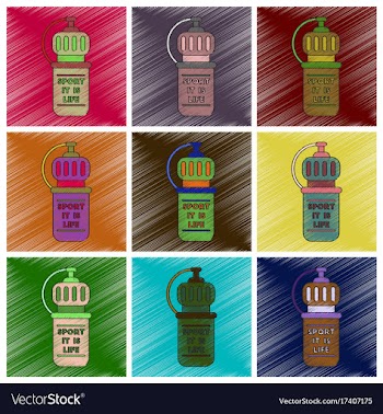 Set of icons in flat design sports bottle vector image