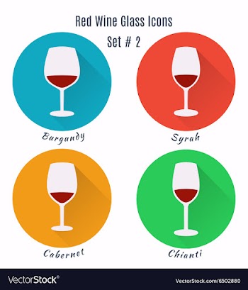 Set of icons Variation of detailed hand drawn wine vector image