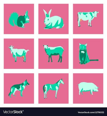 Set of in flat style animals vector image