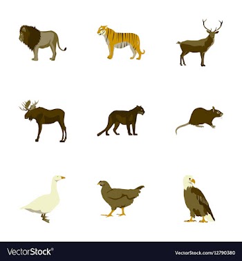 Set of in flat style animals vector image