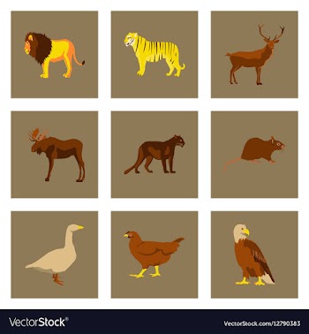 Set of in flat style animals vector image