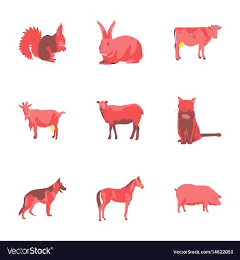 Set of in flat style animals vector image