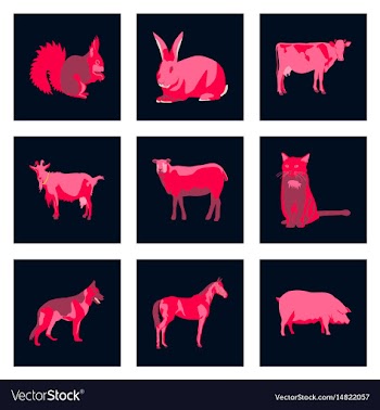 Set of in flat style animals vector image
