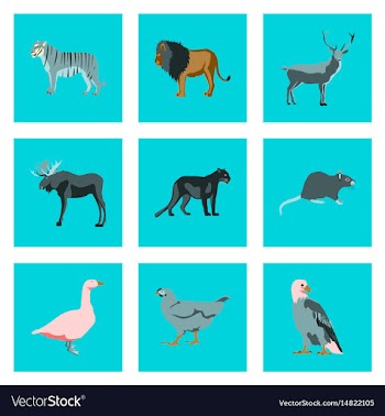 Set of in flat style animals vector image