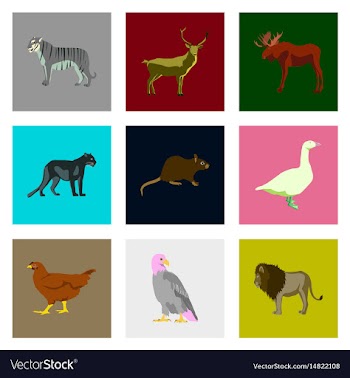Set of in flat style animals vector image