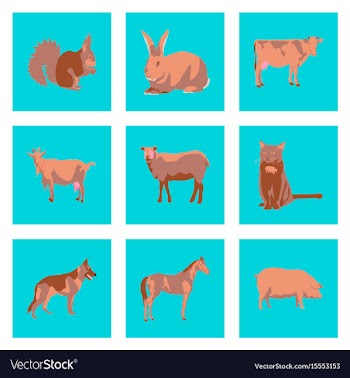 Set of in flat style animals vector image