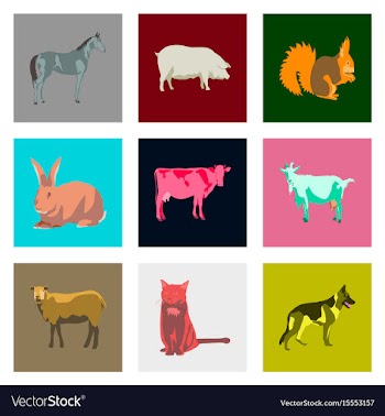 Set of in flat style animals vector image