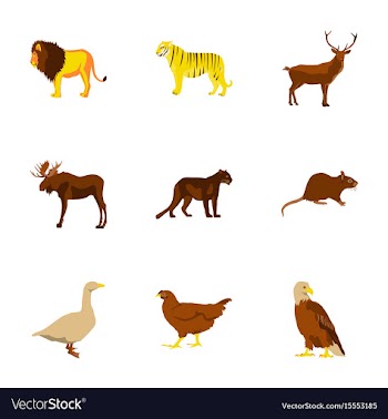 Set of in flat style animals vector image