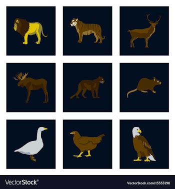 Set of in flat style animals vector image