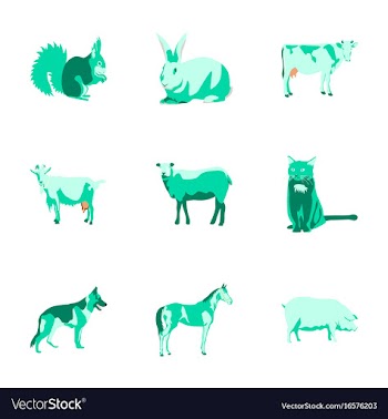 Set of in flat style animals vector image