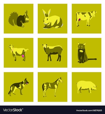 Set of in flat style animals vector image