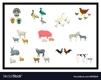Set of in flat style animals vector image