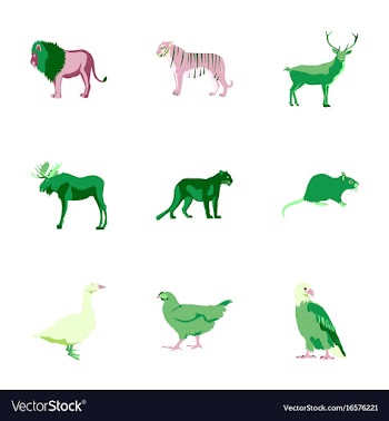 Set of in flat style animals vector image