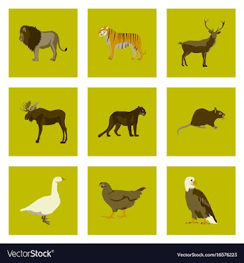 Set of in flat style animals vector image
