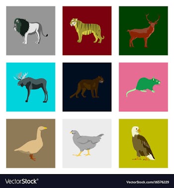 Set of in flat style animals vector image