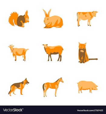 Set of in flat style animals vector image