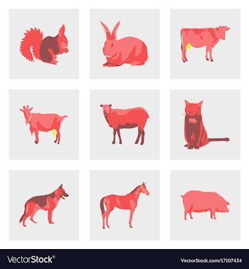 Set of in flat style animals vector image