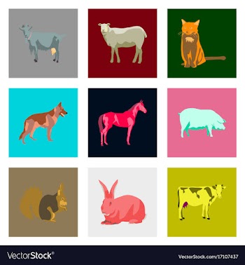 Set of in flat style animals vector image