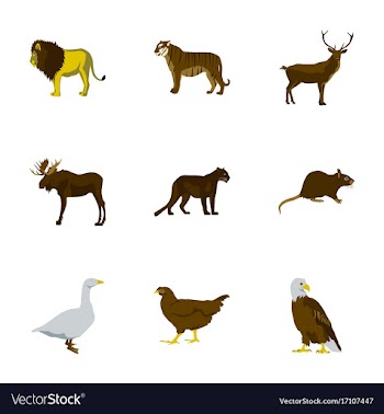 Set of in flat style animals vector image