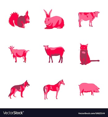 Set of in flat style animals vector image