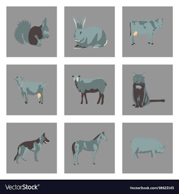 Set of in flat style animals vector image
