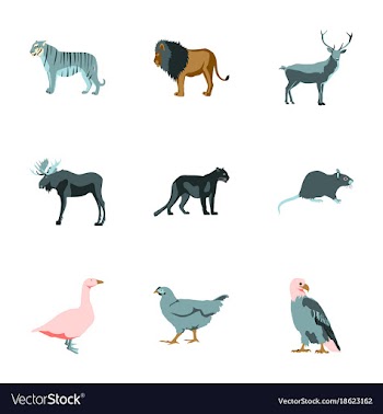 Set of in flat style animals vector image