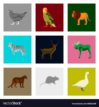 Set of in flat style animals vector image