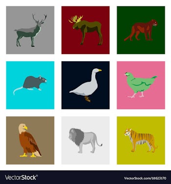 Set of in flat style animals vector image
